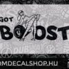 Got Boost 1
