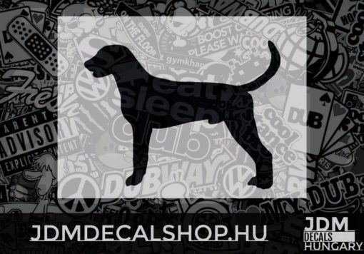 Can Foxhound