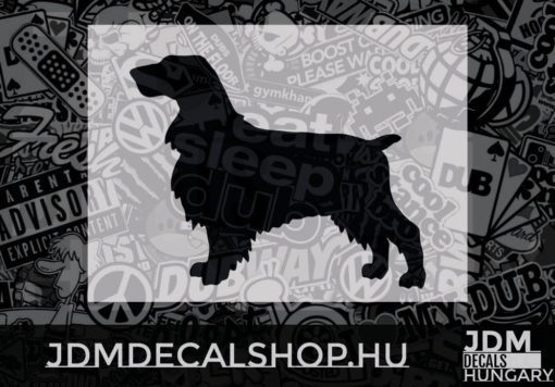 Field Spaniel