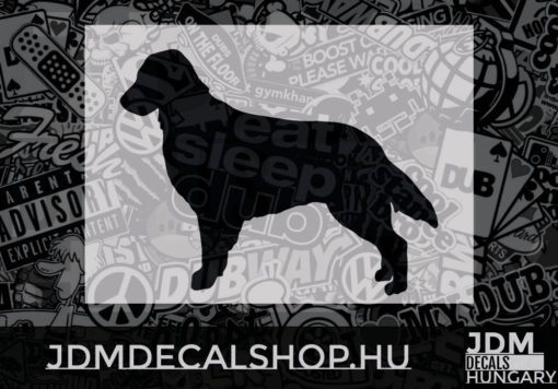 Flat Coated Retriever