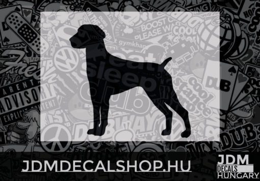 German Shorthaired Pointer