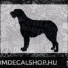 Irish Wolfhound