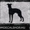 Italian Greyhound