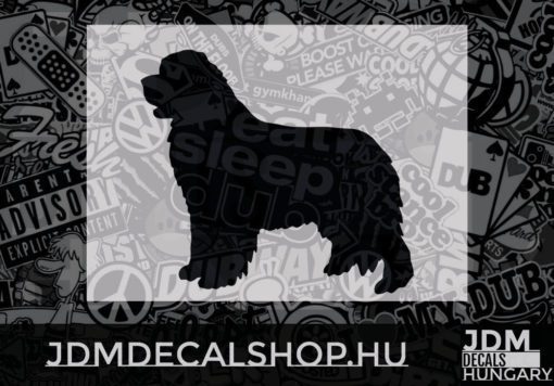 Newfoundland