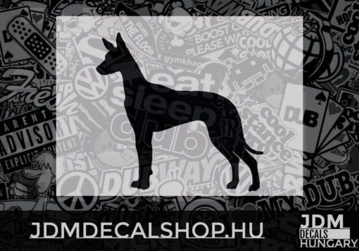 Pharaoh Hound