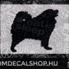 Samoyed