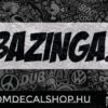 BAZINGA!
