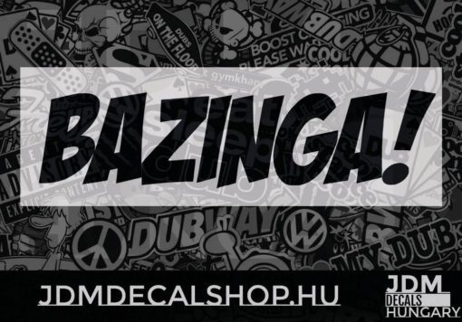 BAZINGA!