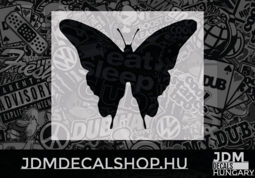 Butterfly_4
