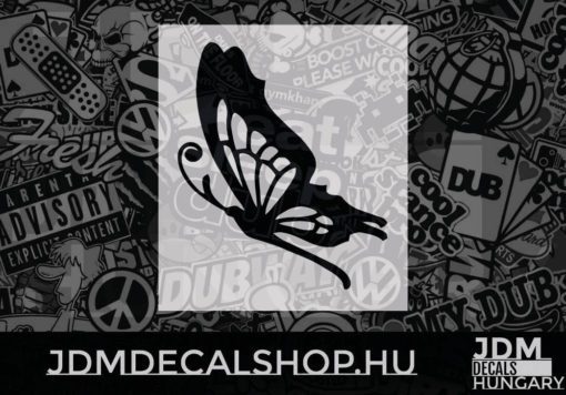 Butterfly_5