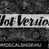 HotVersion