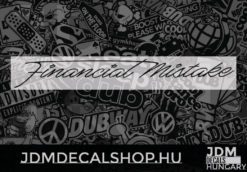 Financial Mistake v4