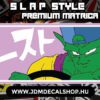 ANM - Slapstyle