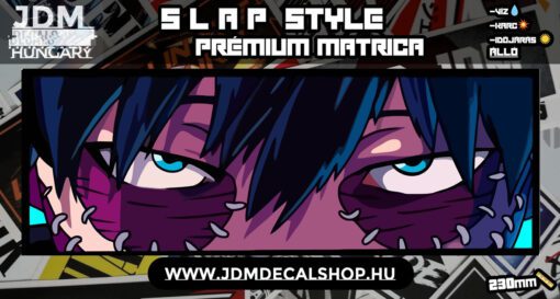 ANM v2 - Slapstyle