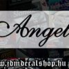 Angel-1.1