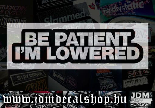 BE PATIEN IM LOWERED v2-1.1