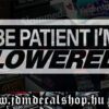 BE PATIENT IM LOWERED v3-1.1