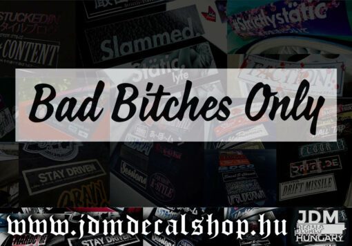 Bad Bitches Only-1.1