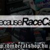 BecauseRaceCar-1.1