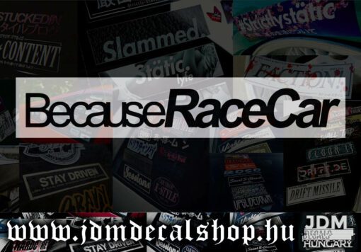 BecauseRaceCar-1.1