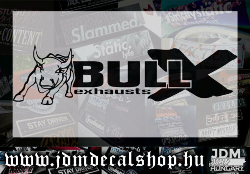 BullX-1.1