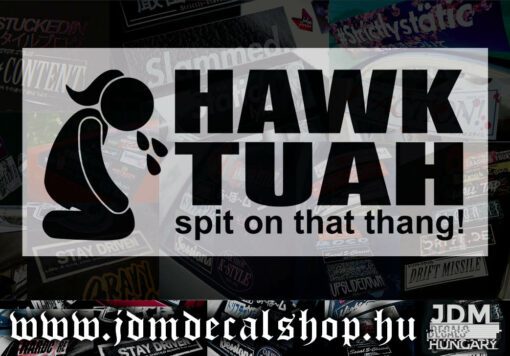HAWK TUAH-1.1
