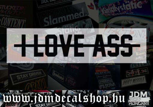 ILOVEASS v2-1.1