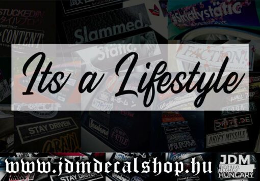 Its a Lifestyle-1.1