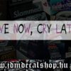 Love Now, Cry Later-1.1