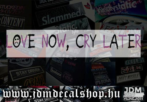 Love Now, Cry Later-1.1