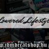Lowered Lifestyle-1.1