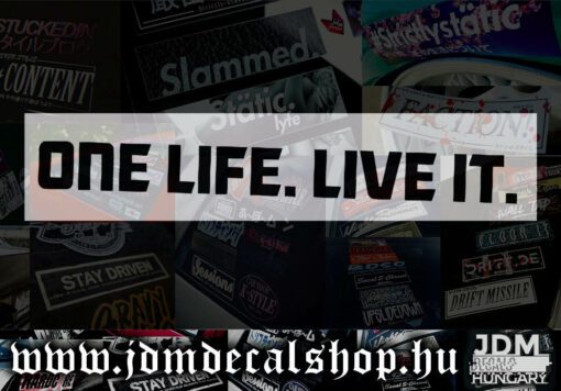One life-1.1