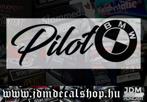 Pilot BMW-1.1
