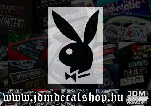 Playboy bunny-1.1