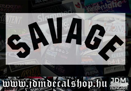 SAVAGE-1.1