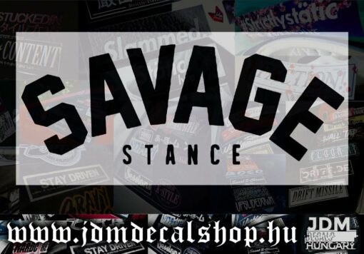 SAVAGE STANCE-1.1