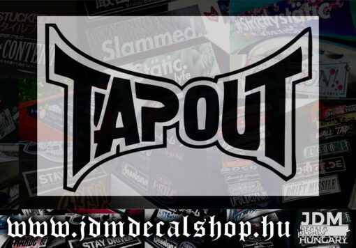 TAPOUT-1.1