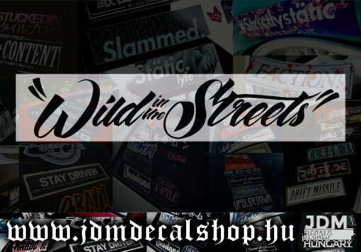 Wild in the Streets-1.1
