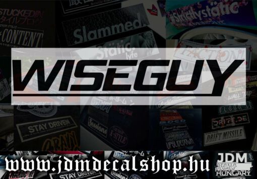 WiseGuy-1.1