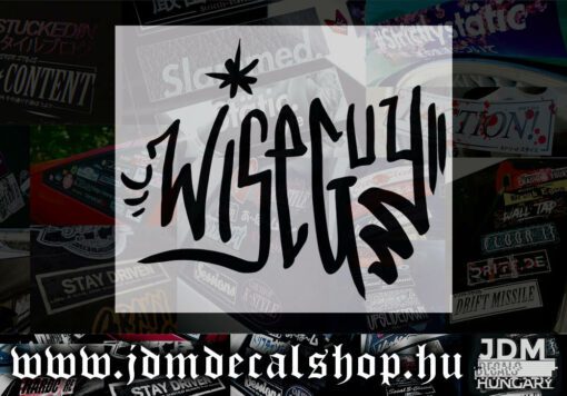 WiseGuy v2-1.1