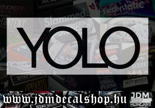YOLO-1.1