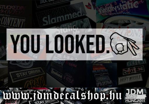 YOU LOOKED v2.1-1.1