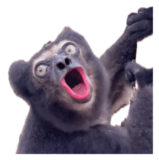 Huhuu Monkey v1