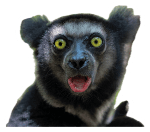 Huhuu Monkey v2