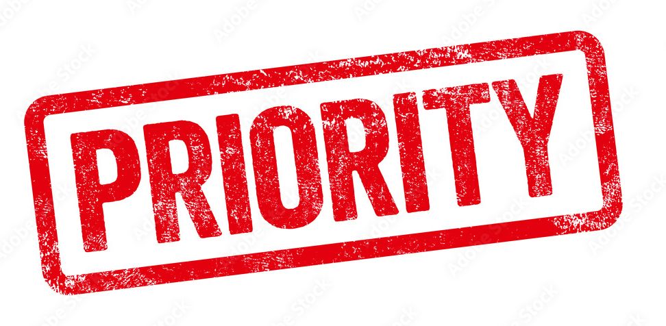 PRIORITY FAST SHIPPING 1 DAY