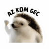 Azkomgec🎁