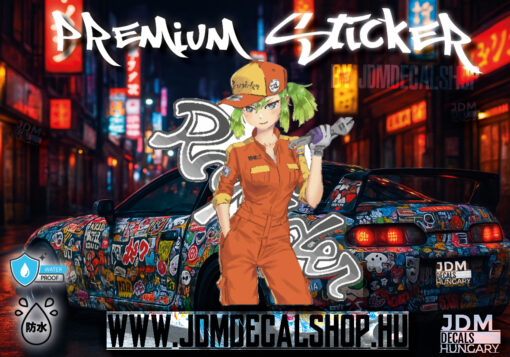 1313-stckr
