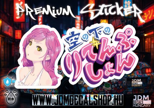 1317-stckr