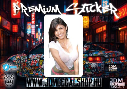1421-stckr