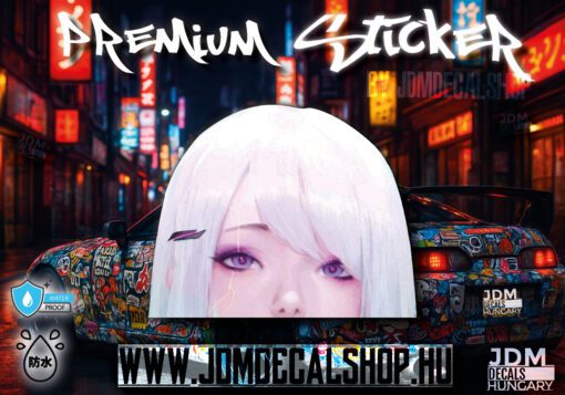1718-stckr